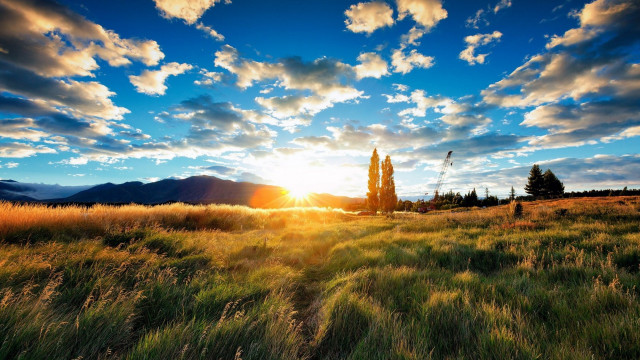Sunset field tree clouds horizon free wallpaper for desktop - medium preview image
