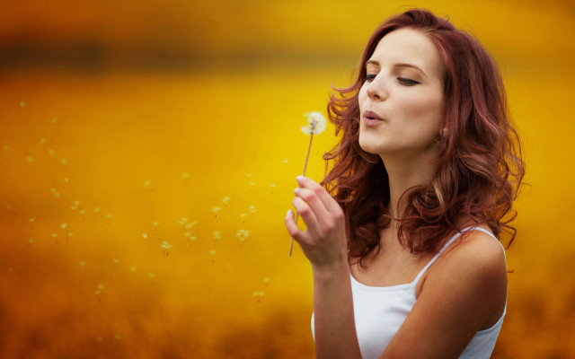 Dandelion blowing woman field yellow free wallpaper for desktop - medium preview image