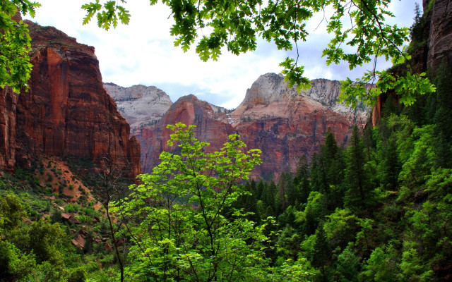 Mountain range trees cloudy sky #8 free wallpaper for desktop - medium preview image