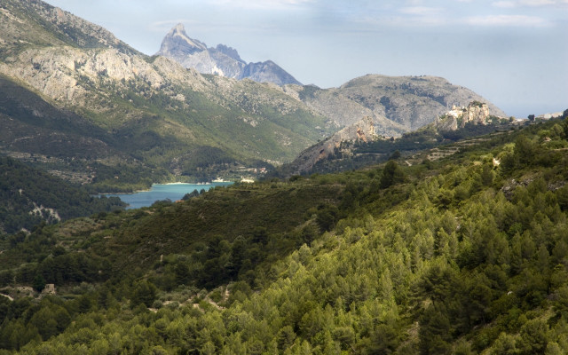 Mountain range lake background trees free wallpaper for desktop - medium preview image