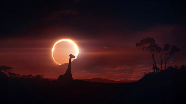 Giraffe sunset sky mountains moon free wallpaper for desktop - medium preview image