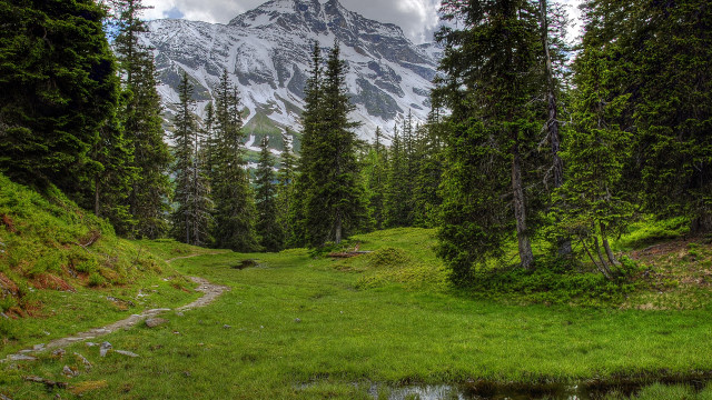 Grassy field stream mountain snow free wallpaper for desktop - medium preview image
