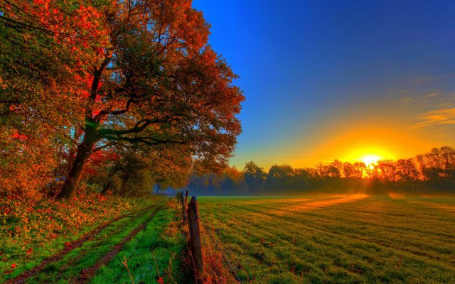 Autumn fence trees sunset landscape free wallpaper for desktop - medium preview image