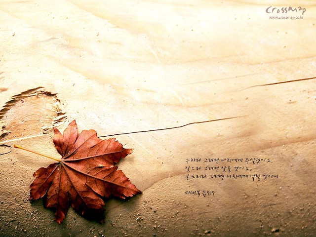 Leaf wood writing pen middle free wallpaper for desktop - medium preview image