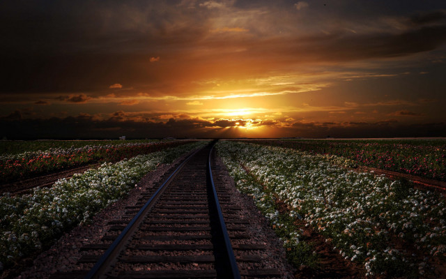 Sunset traintracks flower field cityscape free wallpaper for desktop - medium preview image