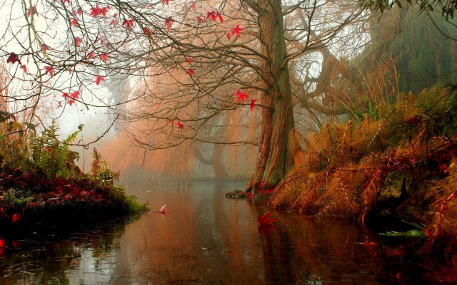 River redflowers redleaves trees impressionism free wallpaper for desktop - medium preview image