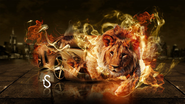 Lion fire breathing embers campfire free wallpaper for desktop - medium preview image