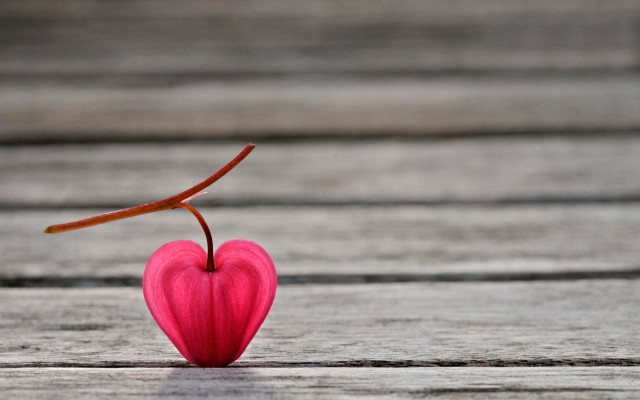 Heart twig wooden surface macro free wallpaper for desktop - medium preview image