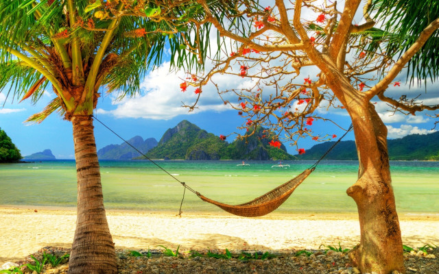 Hammock palm trees beach mountain #4 free wallpaper for desktop - medium preview image