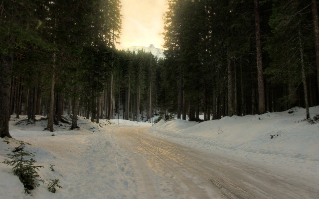 Snowy forest road magic godrays free wallpaper for desktop - medium preview image