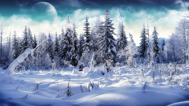 Snowy mountains forest fullmoon night free wallpaper for desktop - medium preview image