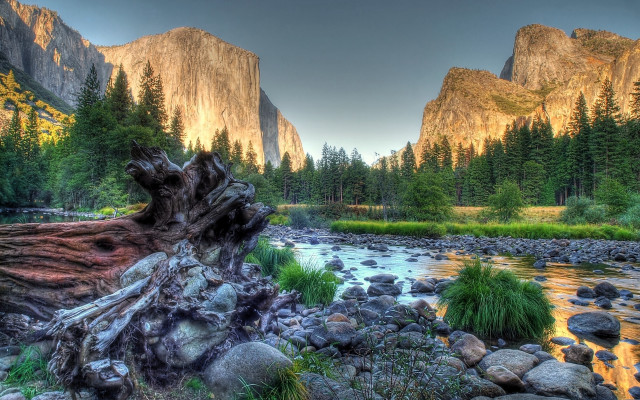 River forest mountains fallen tree free wallpaper for desktop - medium preview image