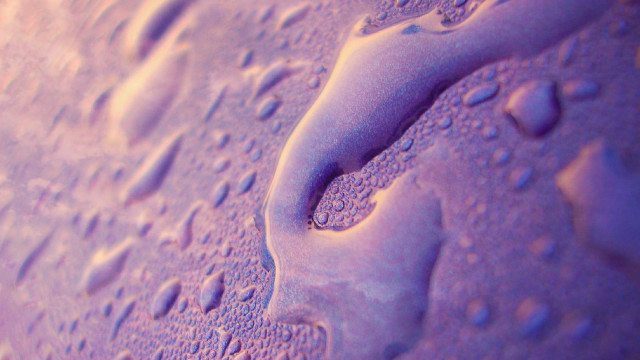 Purple water droplets holography macro free wallpaper for desktop - medium preview image