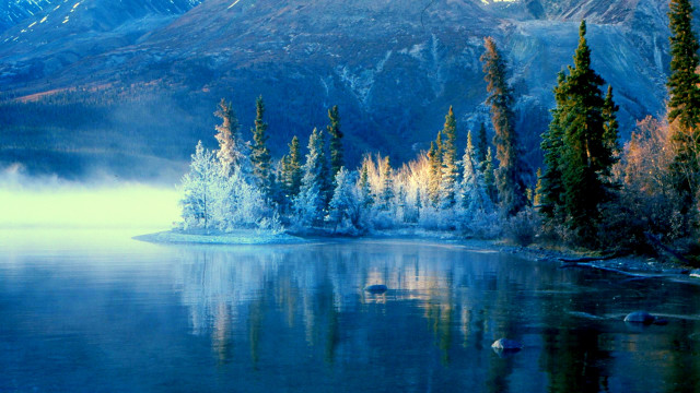 Lake mountains trees mist sky free wallpaper for desktop - medium preview image