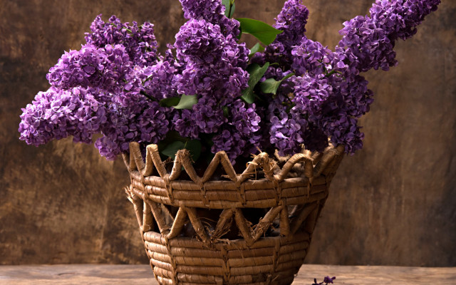 Wicker basket purple flowers east free wallpaper for desktop - medium preview image