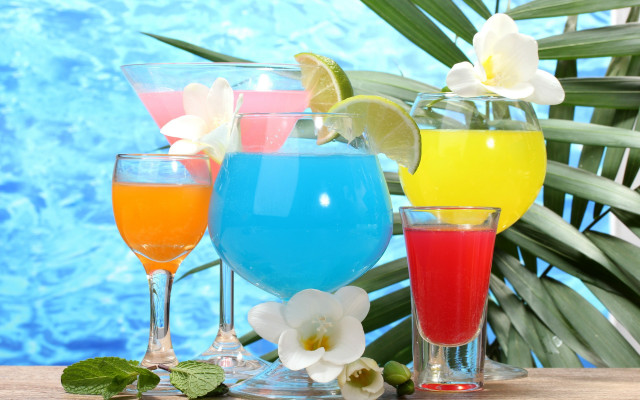 Summer vibrancy drinks plant pool free wallpaper for desktop - medium preview image