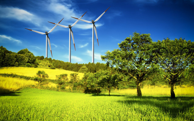 Wind turbines tree blue sky free wallpaper for desktop - medium preview image