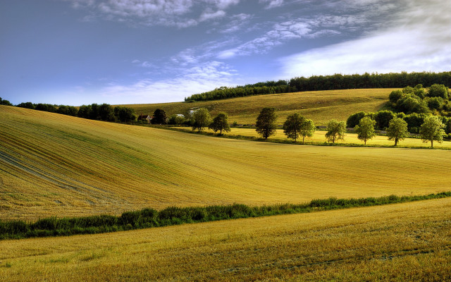 Beautiful landscape hill trees field free wallpaper for desktop - medium preview image