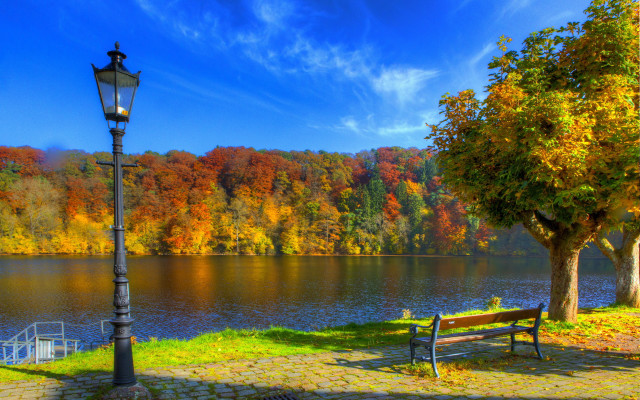 Park bench lamp post lake free wallpaper for desktop - medium preview image