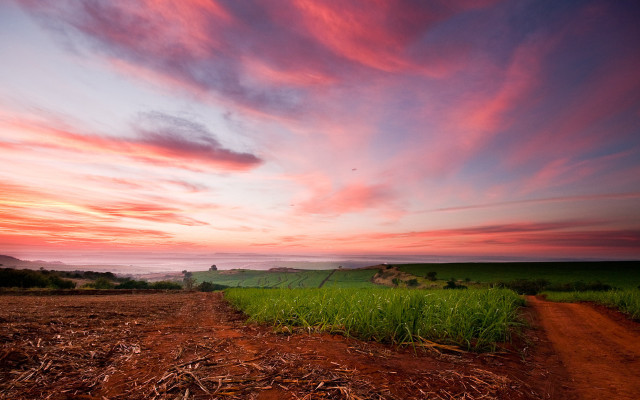 Dirt road field sunset clouds free wallpaper for desktop - medium preview image