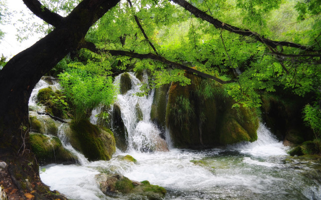 Waterfall forest rocks people nature free wallpaper for desktop - medium preview image