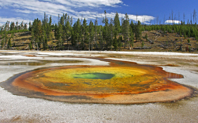 Colorful substance field trees sky free wallpaper for desktop - medium preview image