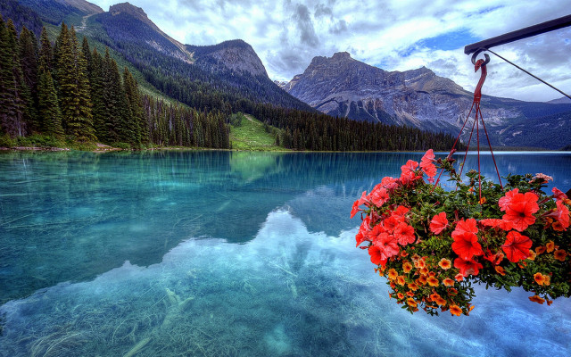 Lake mountains flower city night free wallpaper for desktop - medium preview image