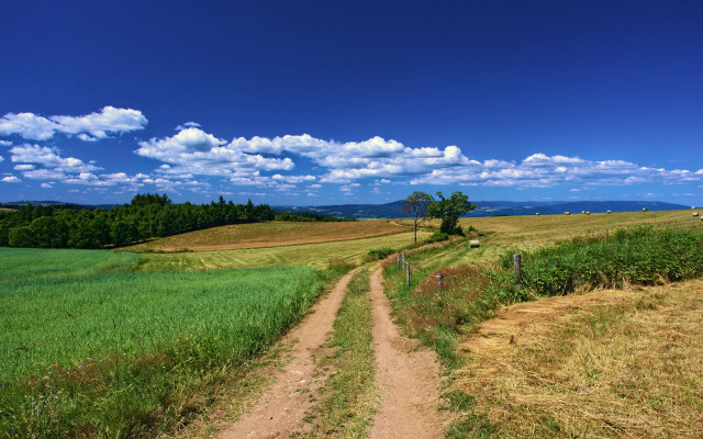 Dirt road green field blue #4 free wallpaper for desktop - medium preview image