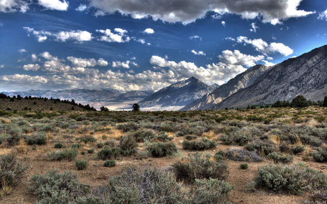 Mountain range clouds bushes panorama free wallpaper for desktop - medium preview image