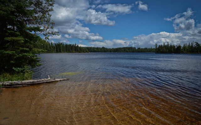 Lake tree line clouds shore #2 free wallpaper for desktop - medium preview image