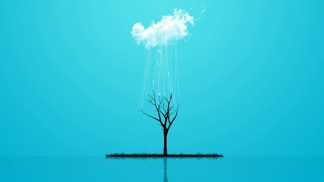 Lone tree water cloud blue free wallpaper for desktop - medium preview image