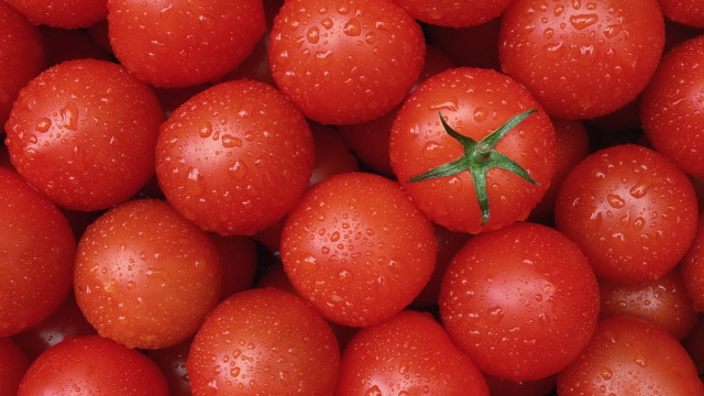 Tomatoes water droplets closeup macro free wallpaper for desktop - medium preview image