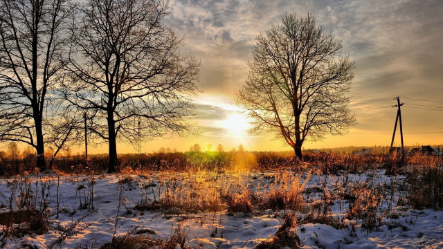 Snowy field trees sunset clouds free wallpaper for desktop - medium preview image