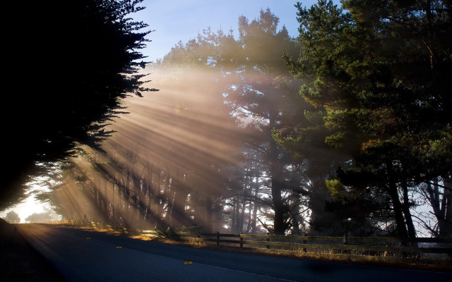 Autumn forest crepuscular rays sunset free wallpaper for desktop - medium preview image