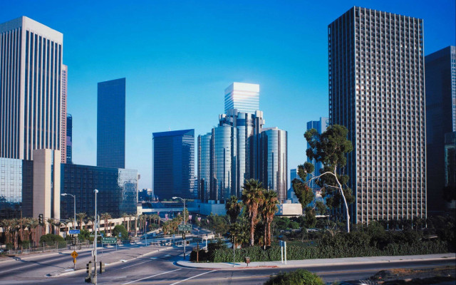 Cityscape palm trees skyscrapers bridge free wallpaper for desktop - medium preview image