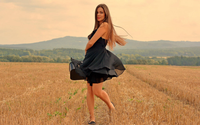 Woman black dress wheat field free wallpaper for desktop - medium preview image
