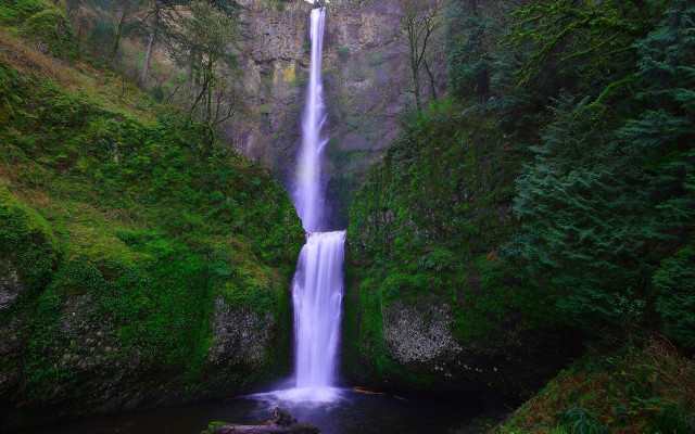 Waterfall forest person tiltshift night free wallpaper for desktop - medium preview image