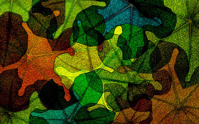 Colorful leaves green background black free wallpaper for desktop - medium preview image