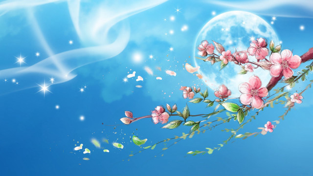 Branch cherry blossoms butterflies fullmoon free wallpaper for desktop - medium preview image