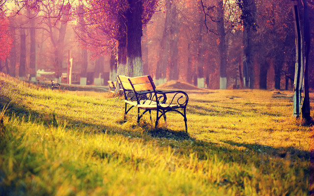 Park bench autumn sunset orange free wallpaper for desktop - medium preview image