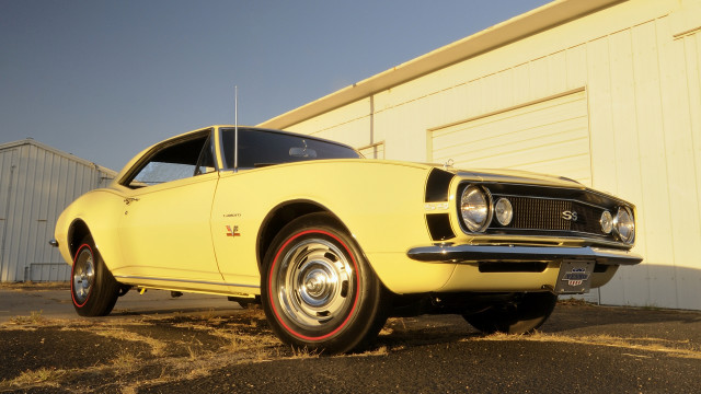 Yellow car garage door white free wallpaper for desktop - medium preview image