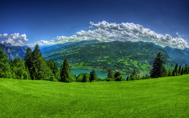 Green field trees mountains lake #3 free wallpaper for desktop - medium preview image