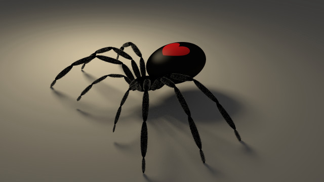 Black spider red heart 3d free wallpaper for desktop - medium preview image