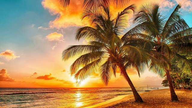 Palm beach sunset clouds boat free wallpaper for desktop - medium preview image