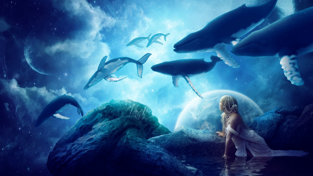 Dreamlike astronaut dolphins moonlight ocean free wallpaper for desktop - medium preview image