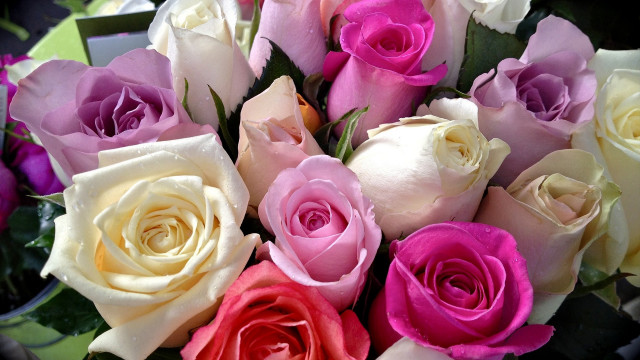 Romantic roses bouquet vase floral free wallpaper for desktop - medium preview image