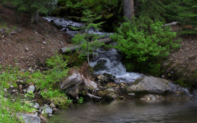 Forest stream bear waterfall impressionist free wallpaper for desktop - medium preview image