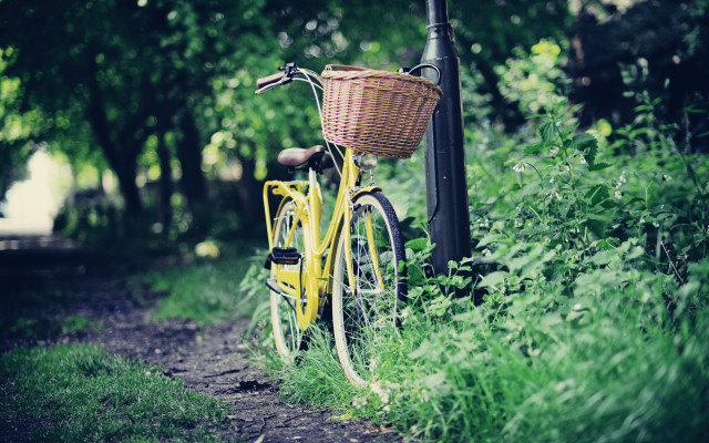 Yellow bicycle forest shallow depth free wallpaper for desktop - medium preview image