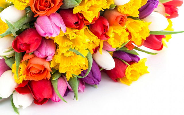Colorful flower bouquet white background free wallpaper for desktop - medium preview image