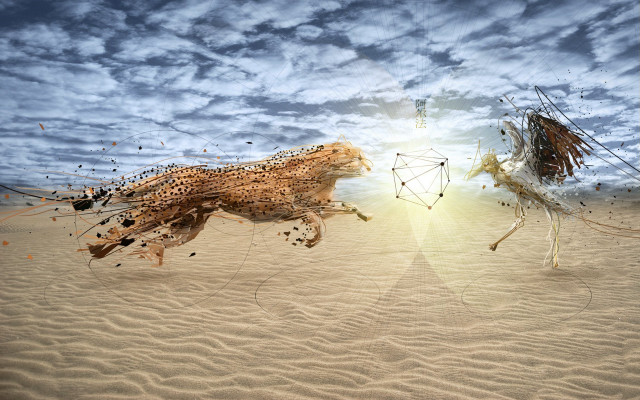 Sandy field animals sky sunset free wallpaper for desktop - medium preview image